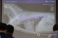 SKT-동물병원협회, 엑스레이 영상 진단 검사 교육 프로그램 | 연합뉴스