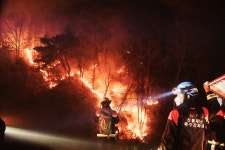 새해 들어 전국에 산불 잇따라…10년간 평균의 3배 넘는 25건 | 연합뉴스