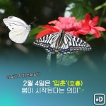 [오늘은] 봄.봄. 봄이 시작됐네요 | 연합뉴스