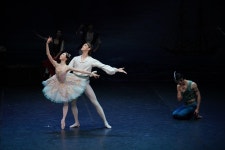 국립발레단, 트리플 빌·해설이 있는 전막발레 해적 공연 | 연합뉴스