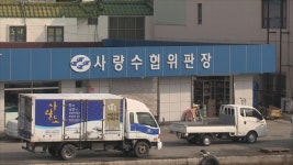 수협 직원이 100억 원대 횡령…경찰 수사 | 연합뉴스