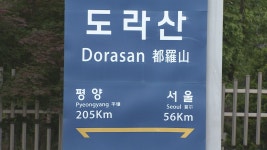 돼지열병에 9·19선언 행사 축소…장소도 변경 | 연합뉴스