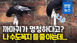 추풍령 서울방향 휴게소, 외부매장 리뉴얼 오픈 | 연합뉴스