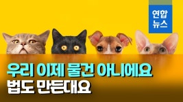 [영상] 물건이던 동물에 첫 법적 지위…동물학대 책임 커질 듯 | 연합뉴스