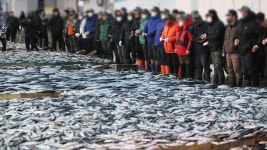 위기 봉착 부산공동어시장…현대화 사업 사활 | 연합뉴스