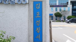 집 침수돼 죽어가…11차례 허위신고 50대 검거 | 연합뉴스