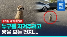 진료 중 성범죄 의료인 자격정지 1개월→12개월 강화 | 연합뉴스