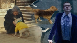 도그데이즈 vs 도그맨…결국 사람이야기 | 연합뉴스