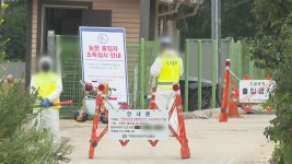 양돈농장 아프리카돼지열병 재발…초동 방역 만전 | 연합뉴스