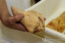 프랑스 법원, 유명 푸아그라 업체 동물학대 무죄 판결 | 연합뉴스