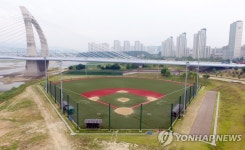 세종시 공공체육시설 확충·운영 5개년 마스터플랜 만든다 | 연합뉴스