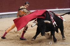 붉은 천의 긴장감…스페인 마드리드 투우 경기 | 연합뉴스
