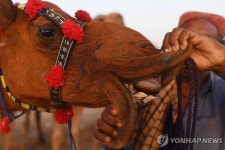 이슬람 최대 명절 이드 알아드하 앞둔 무슬림들 | 연합뉴스