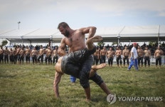 기름 바르고 한판 승부…튀르키예 전통 오일 레슬링 | 연합뉴스