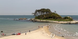 <공장도시 편견 버리세요..알짜 피서지 울산> | 연합뉴스