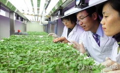 경기농기원, 로봇 이용한 미래형 식물농장 개관 | 연합뉴스