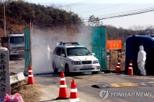 안동 구제역 새 국면..대구서도 의심신고(종합) | 연합뉴스