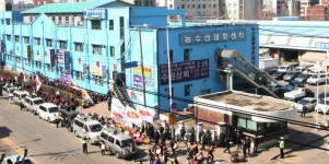 수원시 농수산물도매시장, 11∼18일 주차장 무료개방 | 연합뉴스