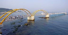 <울산소식> 당사해양낚시공원·염포정서 해맞이 행사 | 연합뉴스