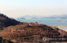 진해에 개화시기 다른 벚나무로 공원 조성 | 연합뉴스