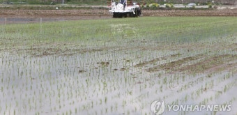 부산지역 첫 모내기 | 연합뉴스