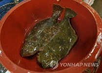 주말에 가볼 만한 곳:서산 희리산 | 연합뉴스
