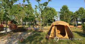 영산강변 가족야영장 | 연합뉴스