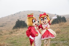 로티-로리, 제주도로 소풍 왔어요 | 연합뉴스