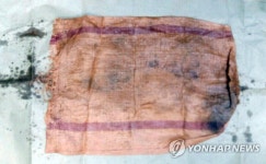 안산 방아머리 선착장 인근서 토막시신 상반신 발견(2보) | 연합뉴스