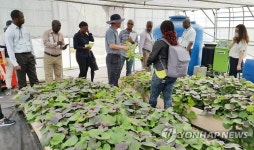 부산 4개국 자매도시 농업관계자 초청 연수 | 연합뉴스