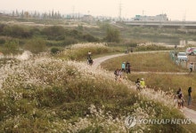 평택시, 진위·안성천 합류 반경 5㎞ 두물강숲 조성 | 연합뉴스