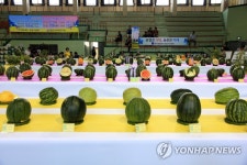 전북 정읍시 씨 없는 수박 품평회 | 연합뉴스