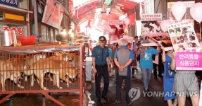 [르포] 존폐 갈림길에 선 구포 가축시장 복날 풍경 | 연합뉴스