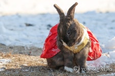 계묘년 주인공은 나…남양주 동무물체험농장 토끼들 | 연합뉴스