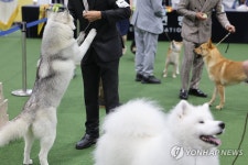 서울 FCI 국제 도그쇼 | 연합뉴스