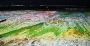 해변에 펼쳐지는 빛의 향연…속초해수욕장 대규모 미디어아트 | 연합뉴스
