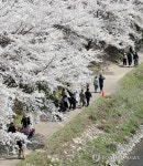 춘천시, 도심공원 주차장 확대·공영화 추진…만성 주차난 해소 | 연합뉴스
