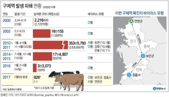 구제역 A·O형 동시발생에 백신 '비상'…바이러스에 무방비 상태 | 연합뉴스