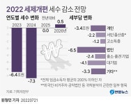 [그래픽] 2022 세제개편 세수 감소 전망 | 연합뉴스