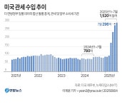 美, 민주당 집권해도 관세 철회 힘들수도…관세수입 중독성 | 연합뉴스