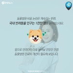 [카드뉴스] 동물병원 진료비 천차만별…똑같은 약이 3배 비싸네요 | 연합뉴스