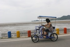 신안 증도서 자전거 빌려 타고 바다와 갯벌 둘러보자 | 연합뉴스