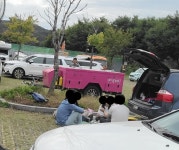 [팩트체크] 공영주차장 주차구역에 텐트 쳐도 처벌 규정이 없다? | 연합뉴스