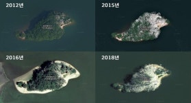 [르포] 가마우지 떠난 원주 거북섬…죽음의 섬에 움트는 생명력 | 연합뉴스