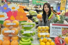 롯데마트, 제주레몬·자몽 신안 바나나…국산 열대과일 출시 | 연합뉴스