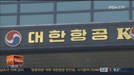 땅콩회항 대한항공.한진칼, 시총 2천400억원 감소 | 연합뉴스