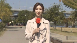 [날씨] 주말 완연한 가을…강원 유명산 단풍 절정 | 연합뉴스