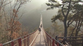 국립 자연휴양림에 파주 감악산 신규 지정…이용자 증가 | 연합뉴스