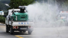 전남 영암군 한우농장서 럼피스킨 발생…올해 20번째 | 연합뉴스