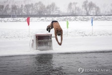 차가운 강물 속으로…중국 하얼빈 송화강 수영하는 시민들 | 연합뉴스